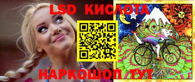 крисы Гай