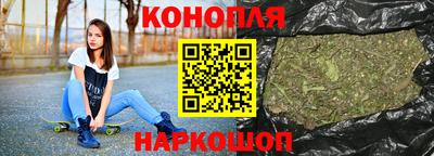 крисы Гай