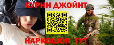 крисы Гай