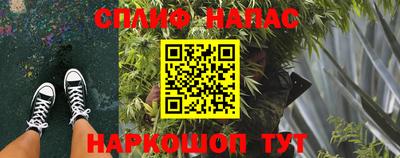 МДПВ Гагарин