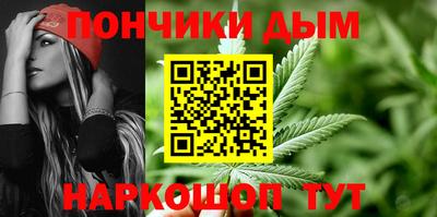 крисы Гай