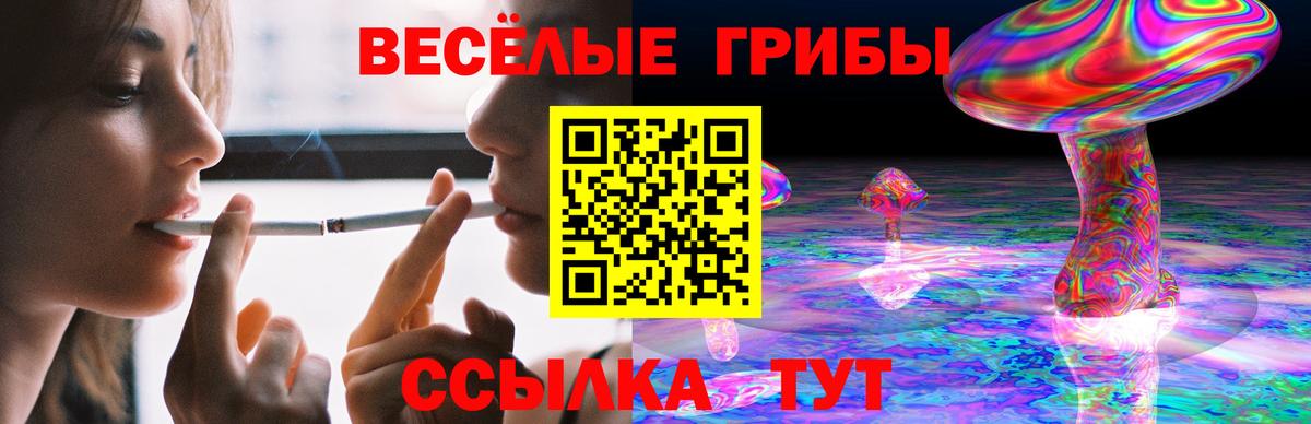 Галлюциногенные грибы прущие грибы Михайловка